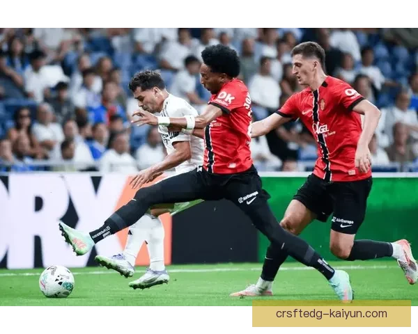 西甲科利塞乌姆主场表现稳健，球队竞争力增强引发关注